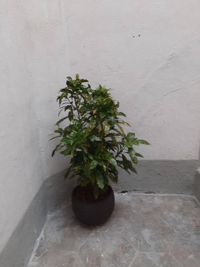 Appartamento Al Crocifisso...da Nonna Pia